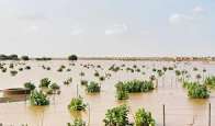 تساقطات مطرية جديدة في موريتانيا
