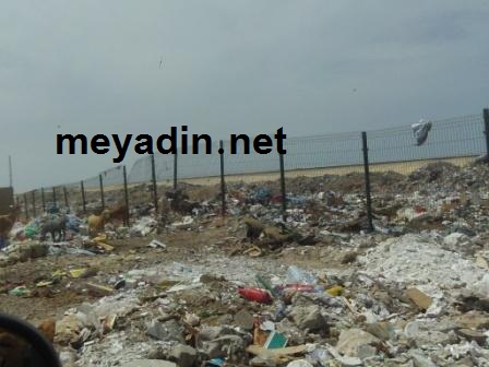 تجمع القمامة وسط حي شعبي تتجاهله البلدية