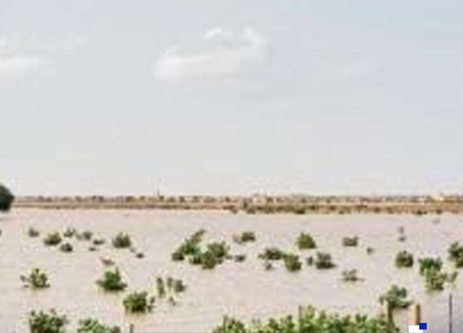 تساقطات مطرية جديدة في موريتانيا