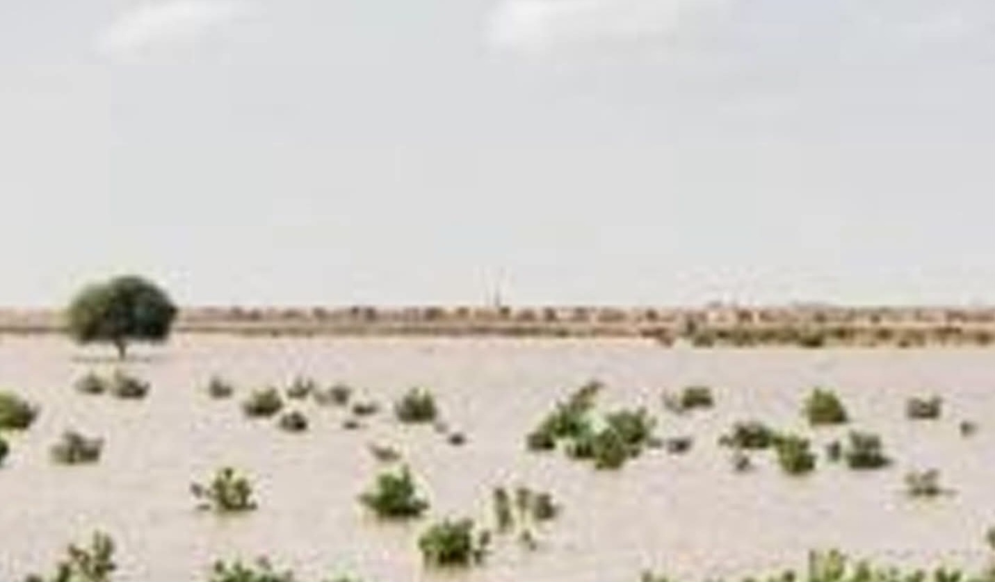 تساقطات مطرية جديدة في موريتانيا