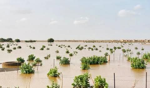 تساقطات مطرية جديدة في بعض مناطق موريتانيا