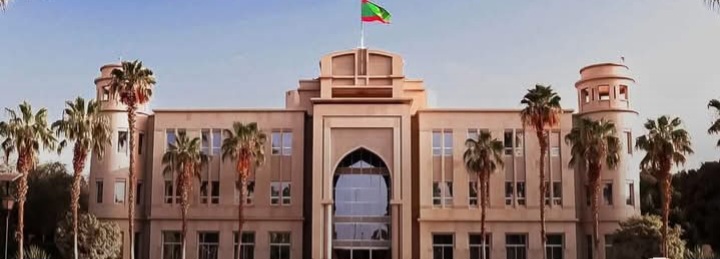 مرسوم رئاسي بالعفو عن النائبين مريم وقامو