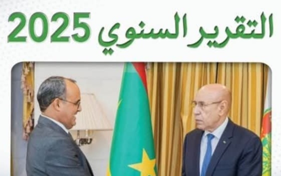 الهابا تكشف تفاصيل حول وضعية المواقع الألكترونية في موريتانيا