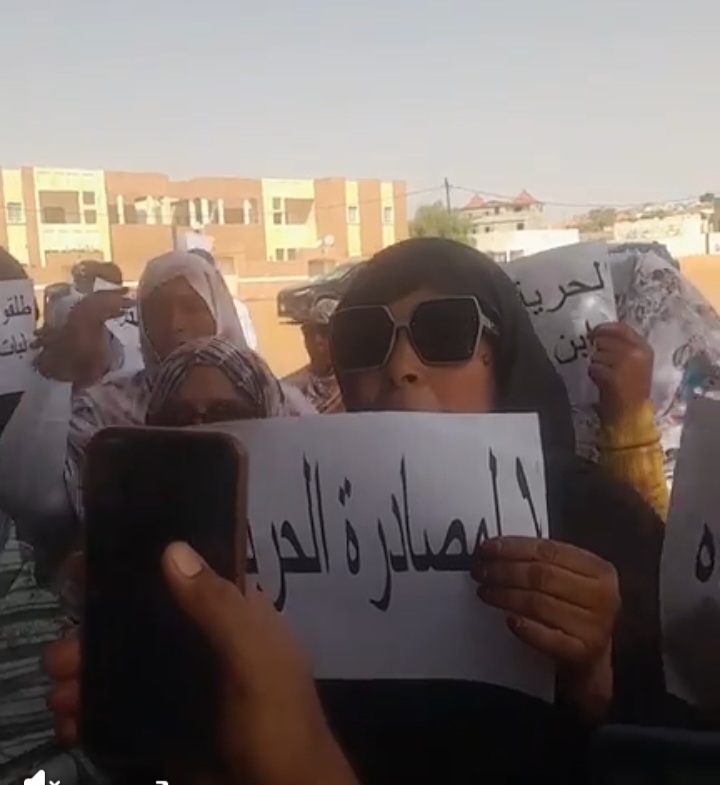 وقفة احتجاجية في بوتلميت تندد باعتقال ولد المعيوف (صور)
