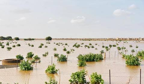تساقطات مطرية جديدة في موريتانيا