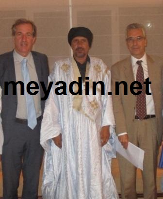 من اليمين إلى اليسار: السفير الفرنسي، مدير صحيفة "ميادين"، والمندوب الفرنسي الخاص لمنطقة الساحل
